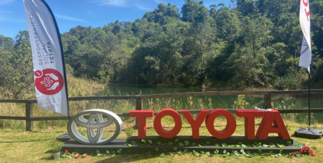 10.000 árboles nativos serán sembrados por Toyota en el 2022