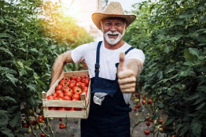 DFSK, el aliado del empresario en tiempos de reactivación económica