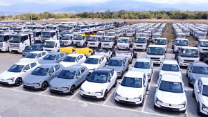 Bergé Vigía celebra el décimo aniversario de operación del Centro Logístico de Santa Marta