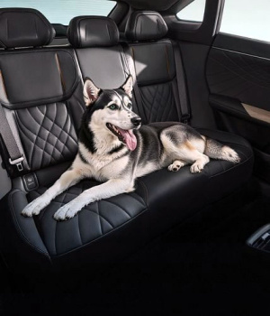 Mascotas y autos eléctricos: ¿qué beneficios tiene esta movilidad frente a los autos de combustión?