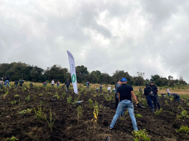 Toyota conmemora la sexta edición de su iniciativa de reforestación Bosque Toyota